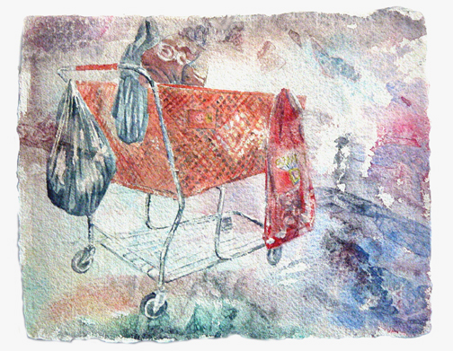 small supermarketcart #1